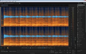 Programa iZotope RX 6