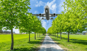 fuentes de contaminación acústica