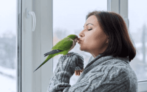 loro hace ruido al respirar